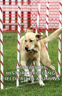 Labradorii - istorie, reproducere, încercări pe teren și expoziții - Labradors - History, Breeding, Field Trials & Shows