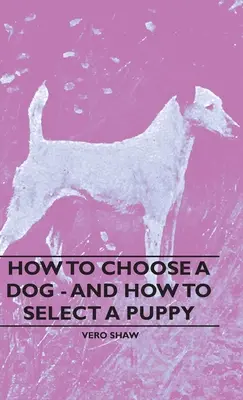 Cum să alegi un câine - și cum să alegi un cățeluș - How To Choose A Dog - And How To Select A Puppy
