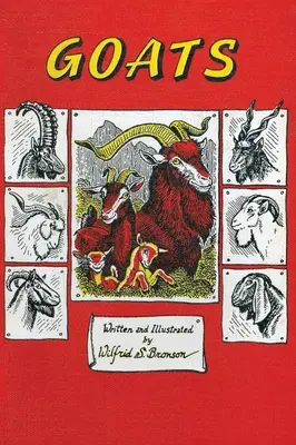 Caprele - Goats