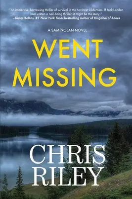 Went Missing: Un roman de Sam Nolan - Went Missing: A Sam Nolan Novel