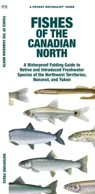 Pești din nordul canadian: Un ghid pliabil impermeabil al speciilor de apă dulce indigene și introduse din Teritoriile de Nord-Vest, Nunavut și Yukon - Fishes of the Canadian North: A Waterproof Folding Guide to Native and Introduced Freshwater Species of the Northwest Territories, Nunavut and Yukon