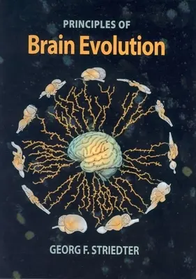 Principiile evoluției creierului - Principles of Brain Evolution
