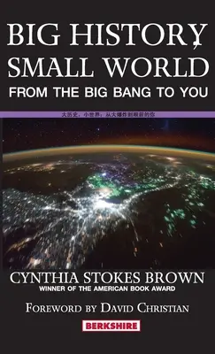 Istorie mare, lume mică: De la Big Bang la tine - Big History, Small World: From the Big Bang to You
