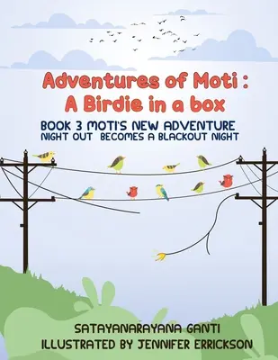 Aventurile lui Moti: Cartea 3: Noua aventură a lui Moti: Ieșirea de noapte devine o noapte de blackout - Adventures of Moti: Book 3: Moti's New Adventure: Night Out Becomes A Blackout Night