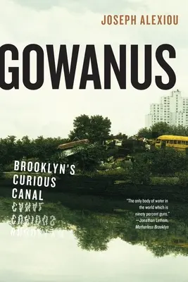 Gowanus: canalul ciudat din Brooklyn - Gowanus: Brooklyn's Curious Canal