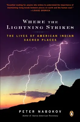 Where the Lightning Strikes: Viețile locurilor sacre ale indienilor americani - Where the Lightning Strikes: The Lives of American Indian Sacred Places