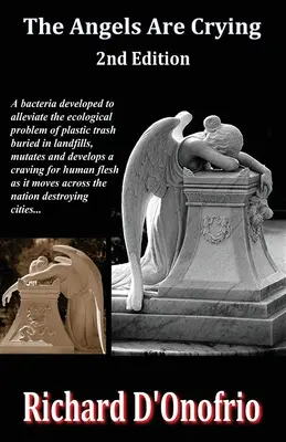Îngerii plâng (ediția a 2-a) - The Angels Are Crying (2nd Edition)