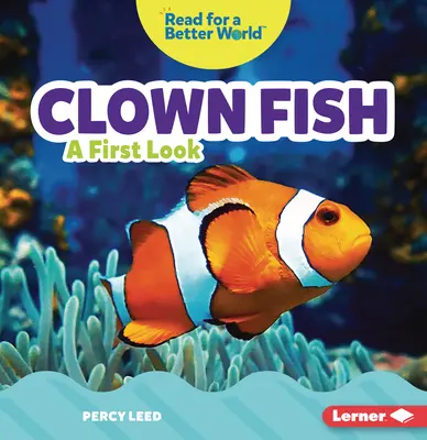 Peștele clovn: O primă privire - Clown Fish: A First Look