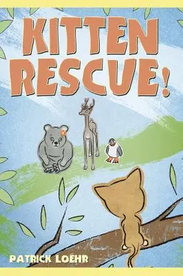 Salvarea pisicuței! - Kitten Rescue!