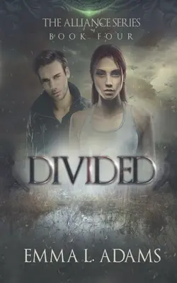 Divizată - Divided