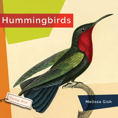 Colibri - Hummingbirds