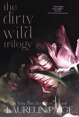 Trilogia Dirty Wild - Dirty Wild Trilogy