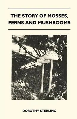 The Story Of Mosses, Ferns And Mushrooms (Povestea mușchilor, ferigilor și ciupercilor) - The Story Of Mosses, Ferns And Mushrooms