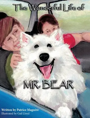 Minunata viață a domnului Urs - The Wonderful Life of Mr. Bear