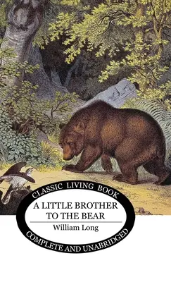 Fratele mai mic al ursului - Little Brother to the Bear
