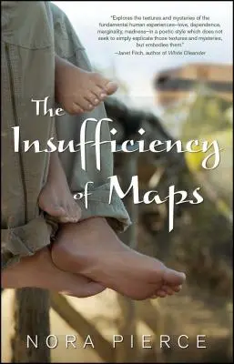 Insuficiența hărților - Insufficiency of Maps