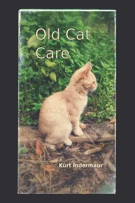 Îngrijirea pisicilor bătrâne - Old Cat Care