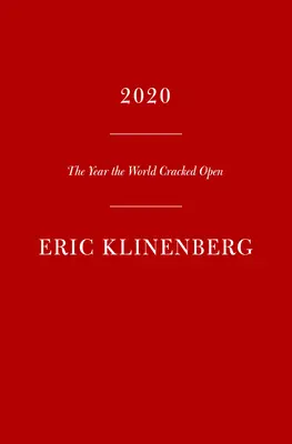 2020: One City, Seven People, and the Year Everything Changed (Un oraș, șapte oameni și anul în care totul s-a schimbat) - 2020: One City, Seven People, and the Year Everything Changed