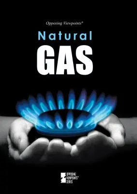 Gazele naturale - Natural Gas