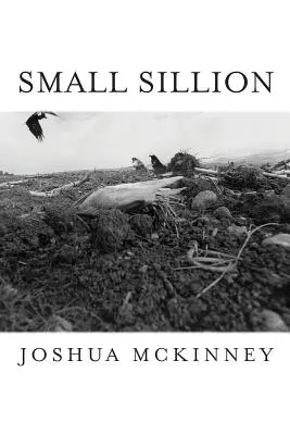 Sillion mic - Small Sillion