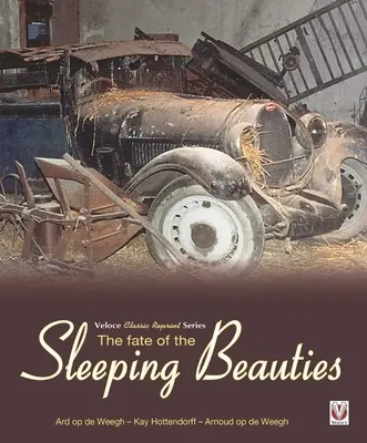 Soarta frumuseților adormite - The Fate of the Sleeping Beauties - The Fate of the Sleeping Beauties