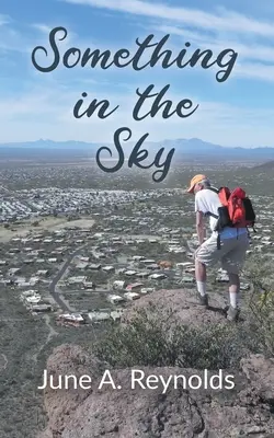 Ceva în cer - Something in the Sky