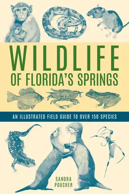 Wildlife of Florida's Springs: Un ghid de teren ilustrat pentru peste 150 de specii - Wildlife of Florida's Springs: An Illustrated Field Guide to Over 150 Species