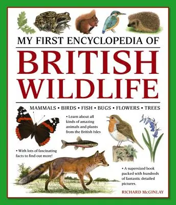Prima mea enciclopedie a vieții sălbatice britanice: Mamifere, păsări, pești, insecte, flori, copaci - My First Encylopedia of British Wildlife: Mammals, Birds, Fish, Bugs, Flowers, Trees