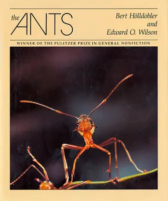 Furnicile - The Ants