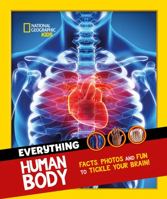 Totul: Corpul uman - Fapte și fotografii care îți deschid ochii pentru a-ți gâdila creierul! - Everything: Human Body - Eye-Opening Facts and Photos to Tickle Your Brain!