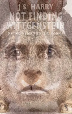 Nu-l găsesc pe Wittgenstein - Not Finding Wittgenstein