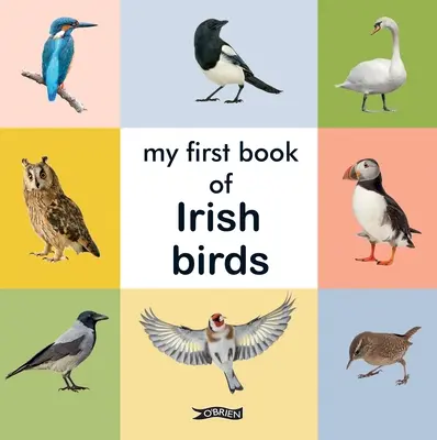 Prima mea carte de păsări irlandeze - My First Book of Irish Birds