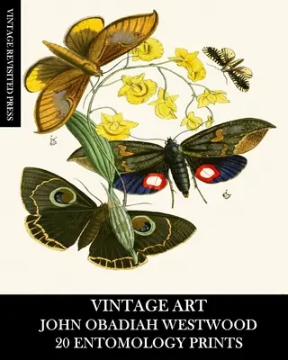 Artă de epocă: John Obadiah Westwood 20 Imprimeuri entomologice: Efemeride cu faună și floră pentru înrămare, colaj și decoupage - Vintage Art: John Obadiah Westwood 20 Entomology Prints: Fauna and Flora Ephemera for Framing, Collage and Decoupage