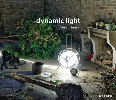 Daniel Hausig: Lumină dinamică - Daniel Hausig: Dynamic Light