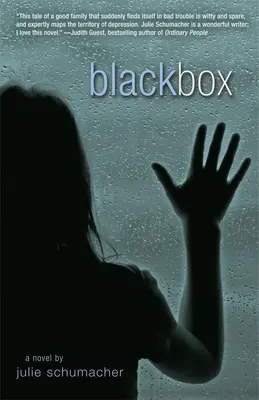 Cutia neagră - Black Box