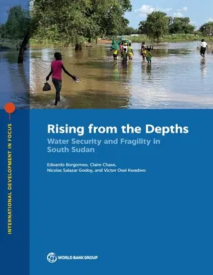 Răsărind din adâncuri: Securitatea și fragilitatea apei în Sudanul de Sud - Rising from the Depths: Water Security and Fragility in South Sudan