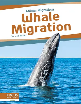 Migrația balenelor - Whale Migration
