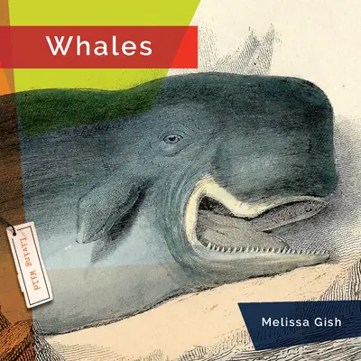 Balene - Whales