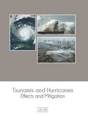 Tsunami-uri și uragane: Efecte și atenuare - Tsunamis and Hurricanes: Effects and Mitigation