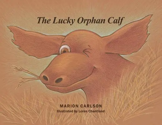 Vițelul orfan norocos - The Lucky Orphan Calf