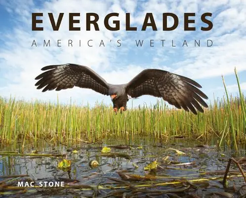 Everglades: Zona umedă a Americii - Everglades: America's Wetland