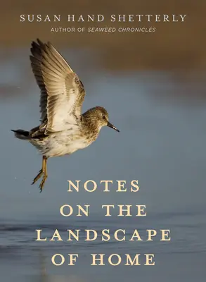 Note despre peisajul de acasă - Notes on the Landscape of Home