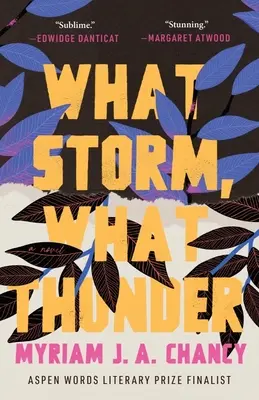 Ce furtună, ce tunet - What Storm, What Thunder