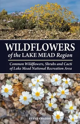 Flori sălbatice din regiunea lacului Mead - Wildflowers of the Lake Mead Region