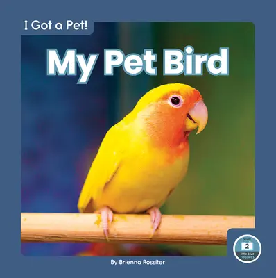 Pasărea mea de companie - My Pet Bird