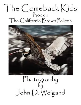 The Comeback Kids, Cartea 3, Pelicanul maro din California - The Comeback Kids, Book 3, the California Brown Pelican