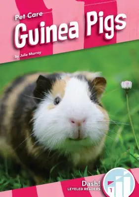 Porcușori de Guineea - Guinea Pigs