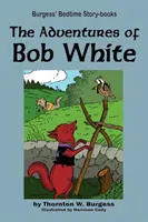 Aventurile lui Bob White - The Adventures of Bob White