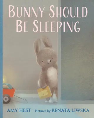 Iepurașul ar trebui să doarmă - Bunny Should Be Sleeping