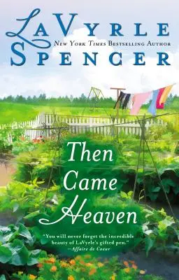 Apoi a venit cerul - Then Came Heaven